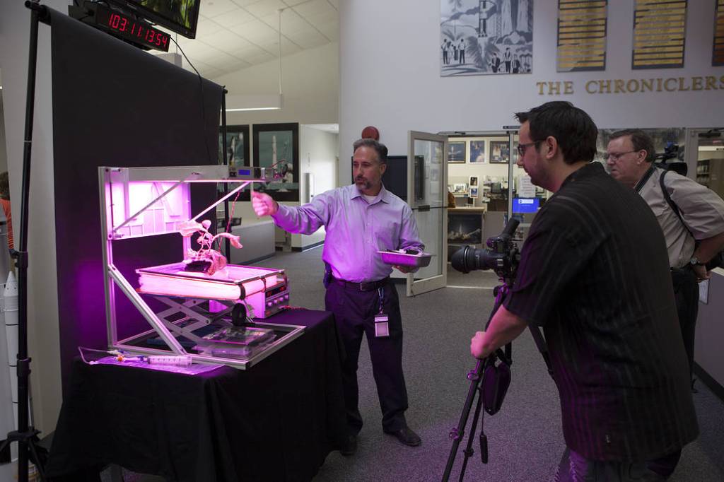 ‘VEGGIE’ Experiment Demo