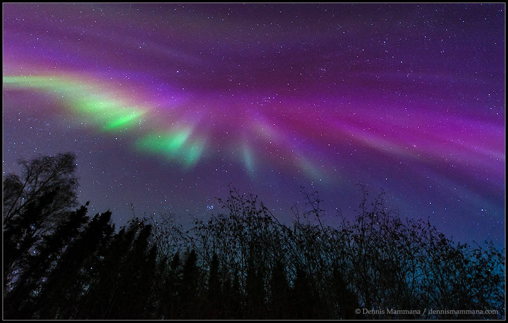 An auroral corona as seen in Fairbanks, Alaska on Feb. 18,2014.