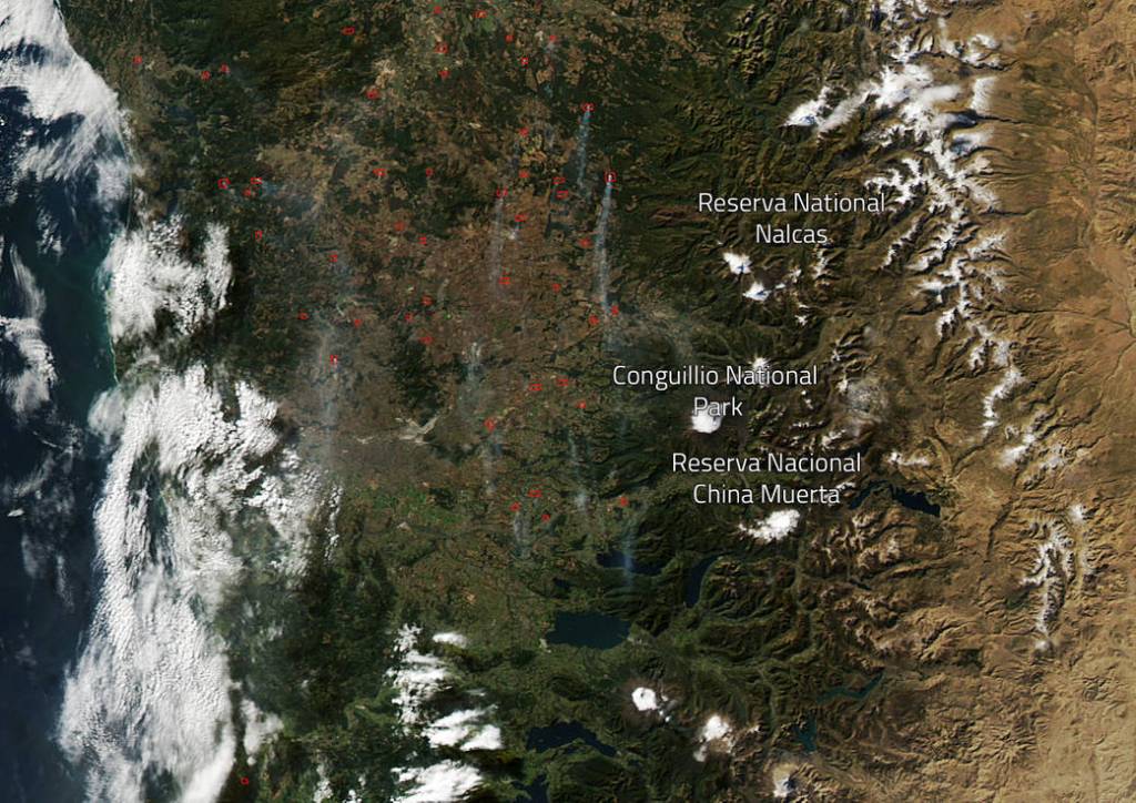 Chile Experiencing Devastating Forest Fires