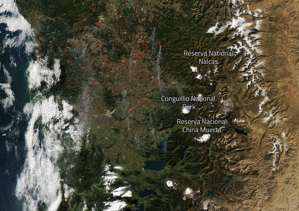 MODIS image of Chilean fires