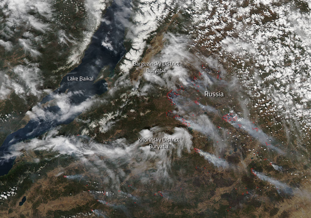 MODIS image of fires in Russia