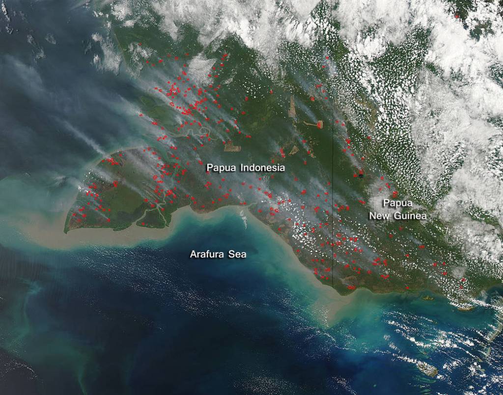 Smoke and Fires Pepper Papua Indonesia and New Guinea