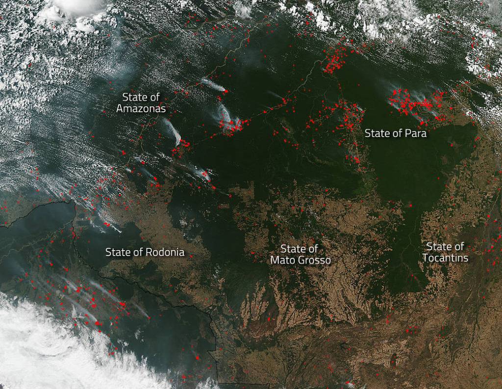 Wildfires Besiege Several States in Brazil