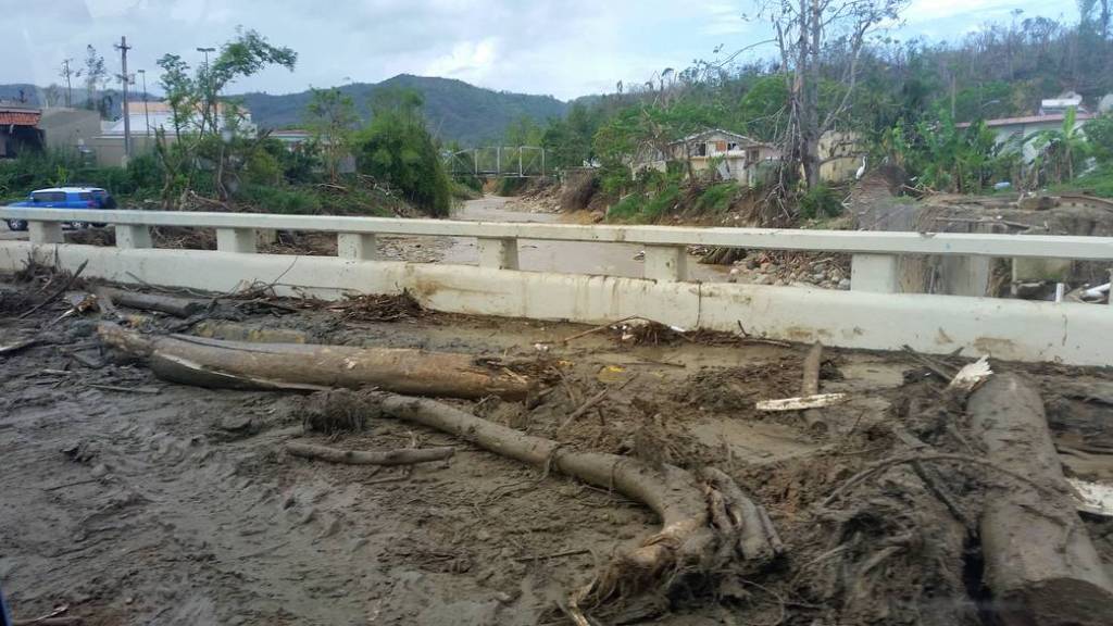 Debris and Mud Left on Bridges