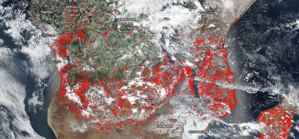Hundreds of Suspected Agricultural Fires Light Up Central Africa