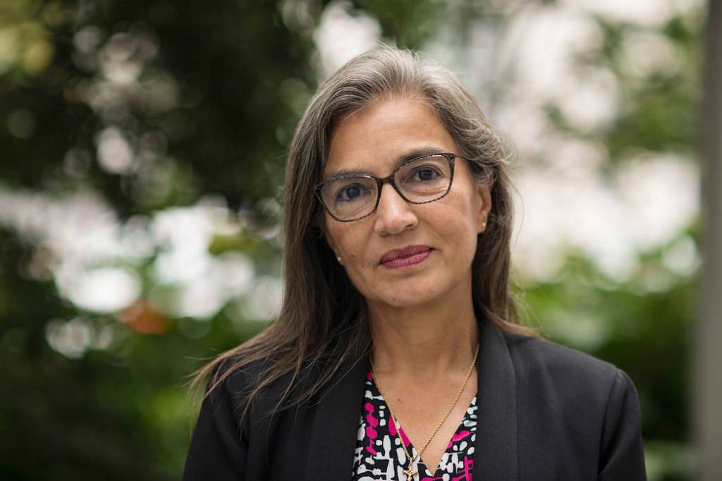 Astrophysics Division Deputy Director Sandra Cauffman