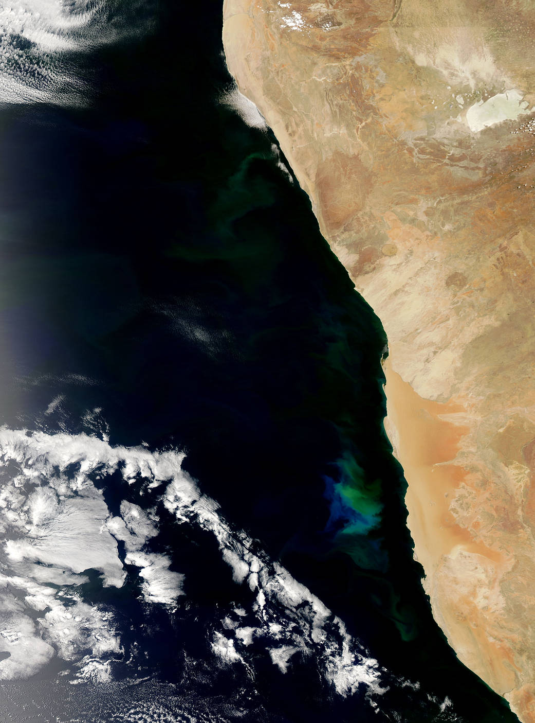 Phytoplankton Bloom off Namibia