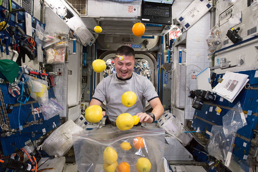Astronaut Kjell Lindgren Corrals the Supply of Fresh Fruit