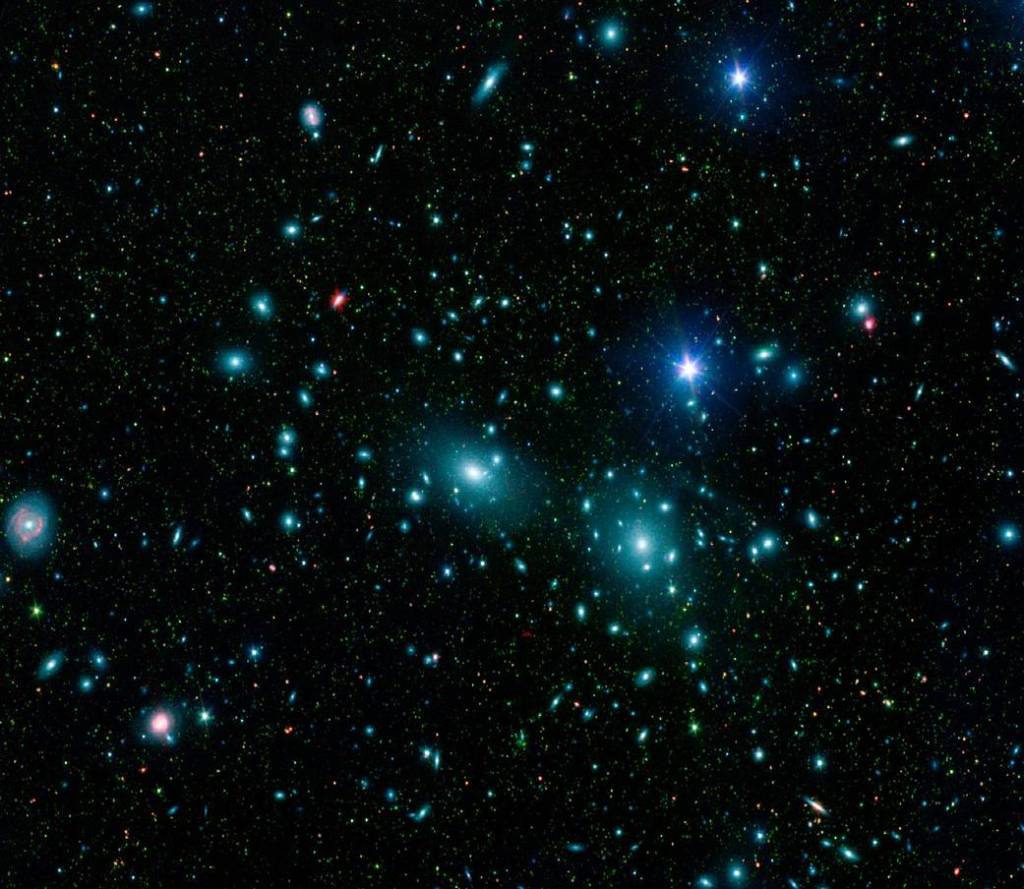 Dwarf Galaxies in the Coma Cluster