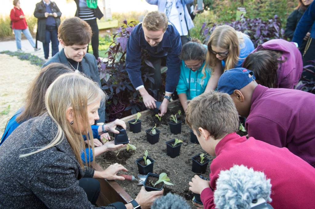 USDA and NASA Plant Seeds from the Space Station