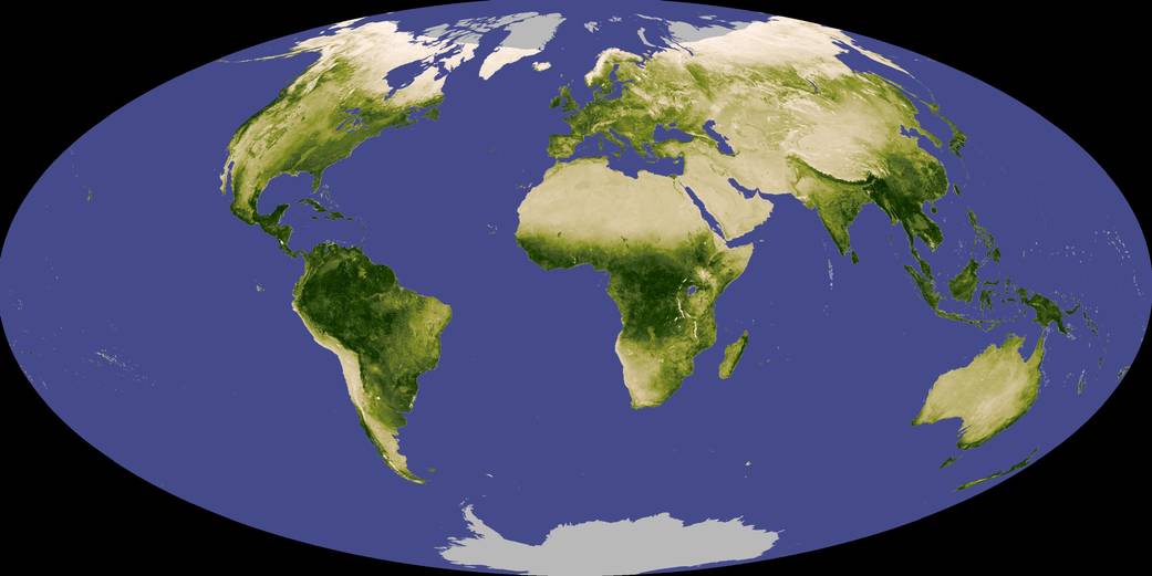 Global Vegetation