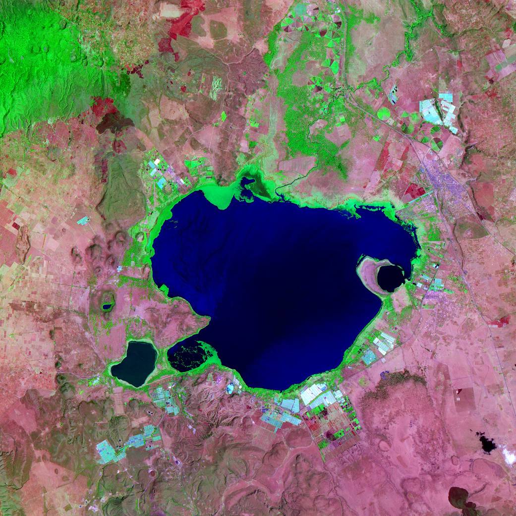 Lake Naivasha, Kenya