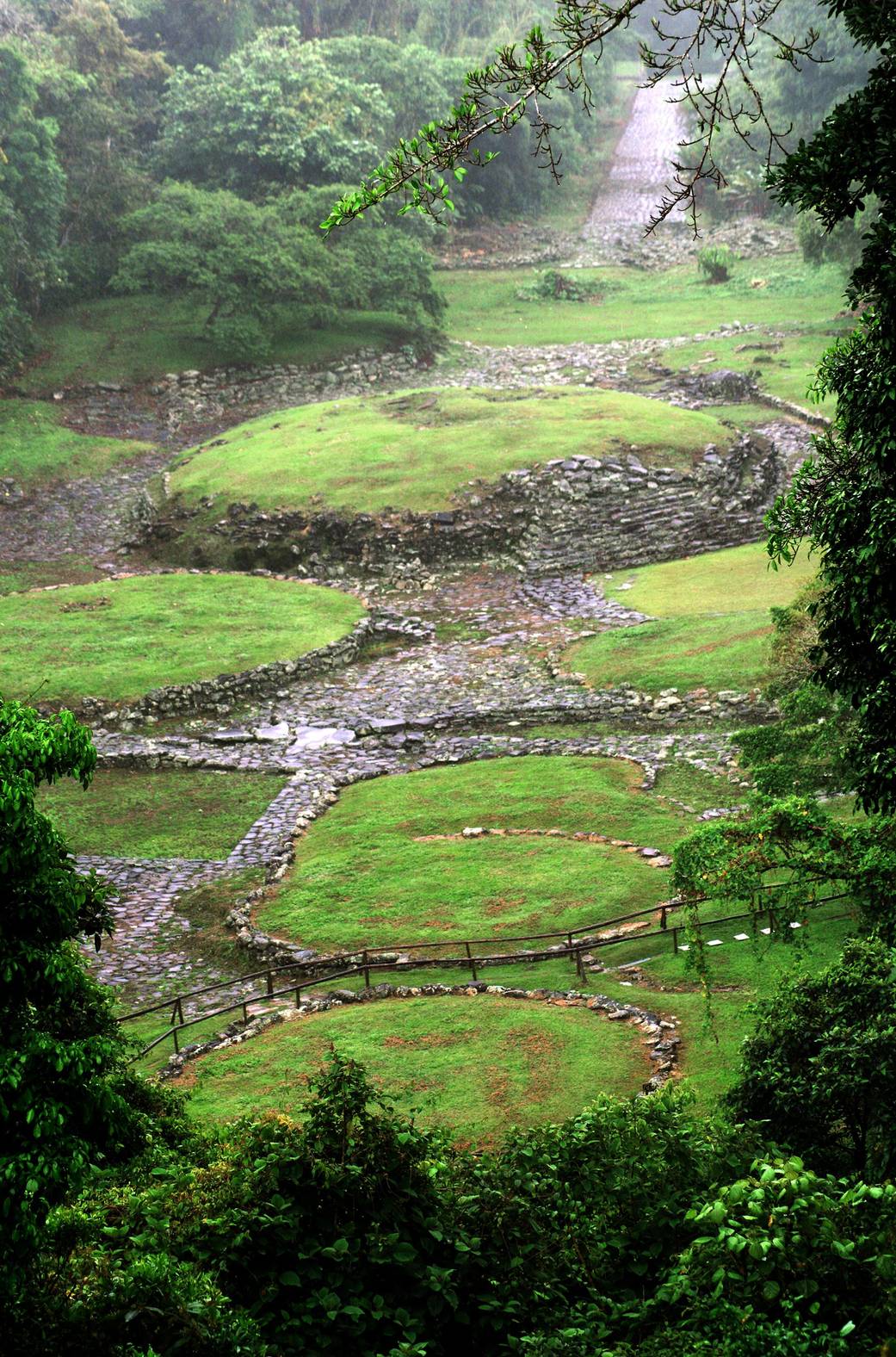AirSAR Gives Scientists Insight into Pre-Colombian Archaeology