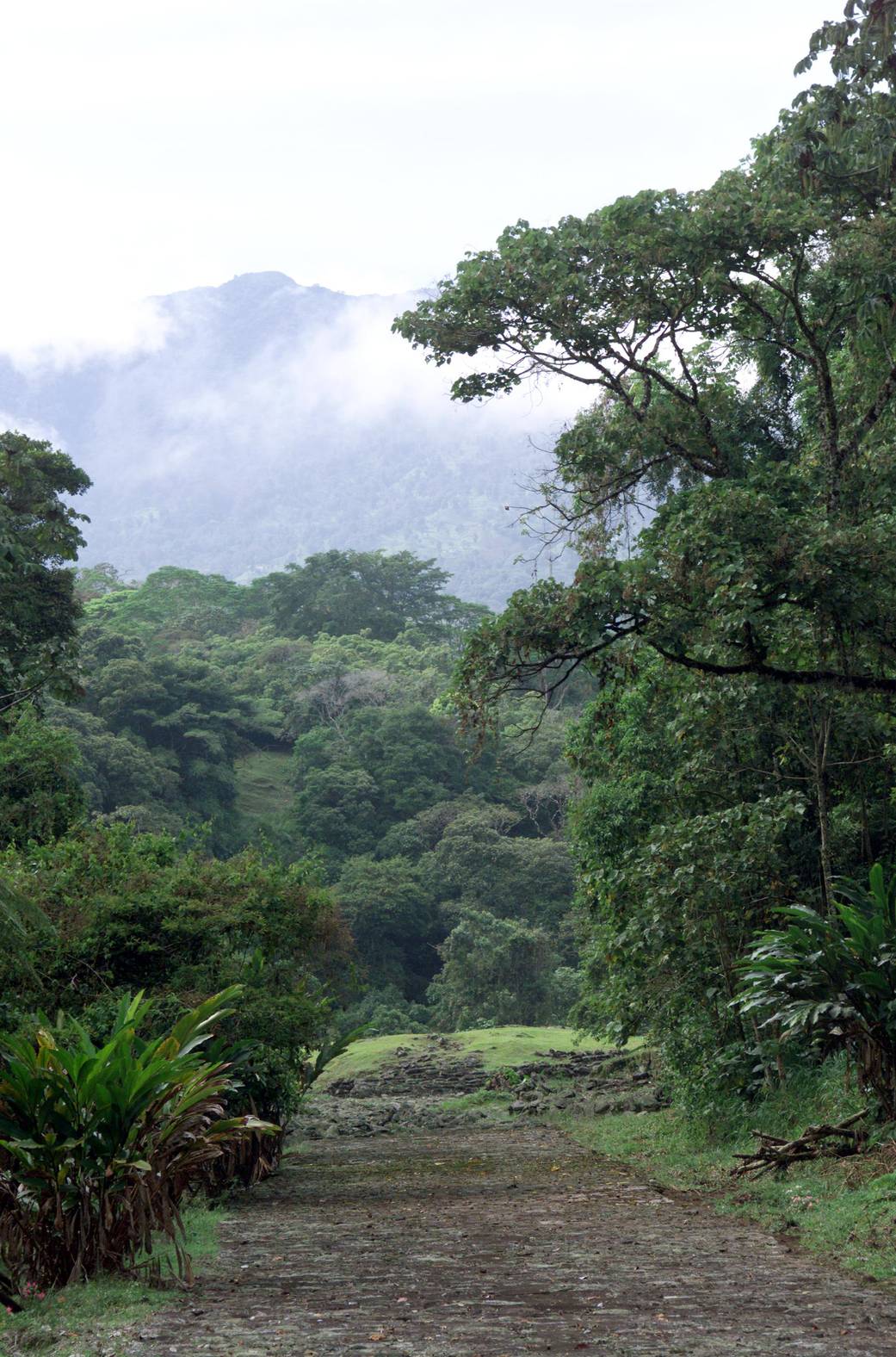 Pre-Colombian Archaeological Ruins