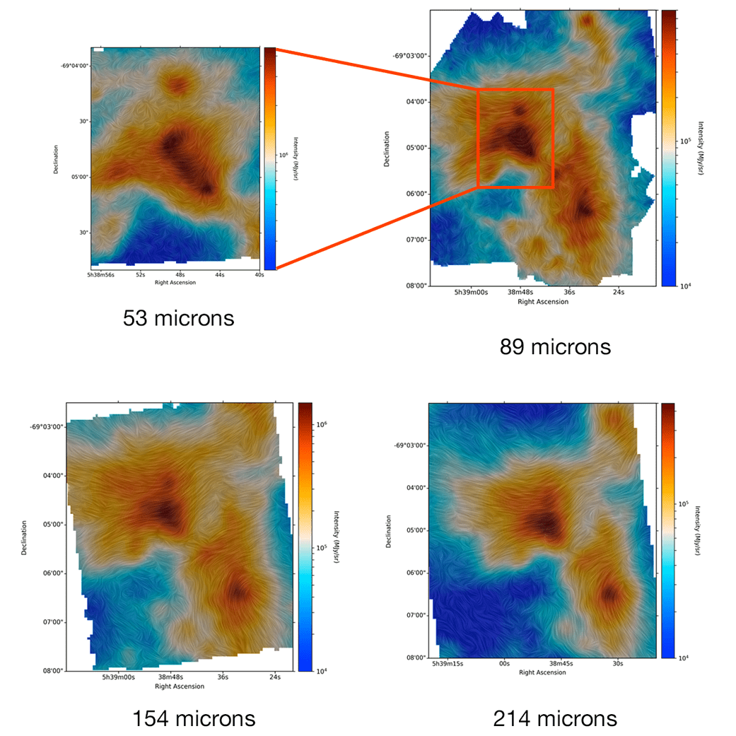 Images taken at multiple wavelengths showing the dust and the magnetic fields in 30 Dor.