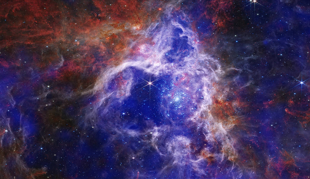 The "Tarantula Nebula" (officially known as 30 Doradus).