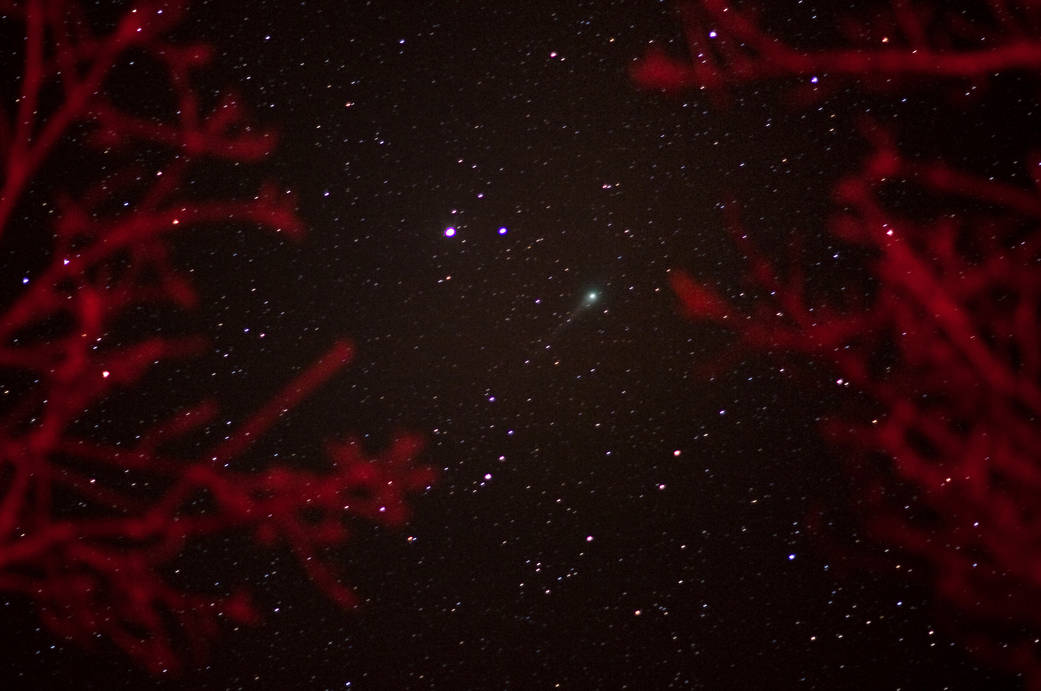 A comet streaks across the night sky above with tree branches visible in the side foreground of the image