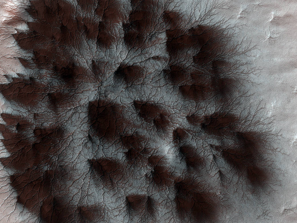 Dark spidery bedforms imaged from Mars orbit