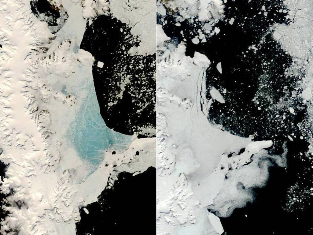 Changing Sea Ice Along Antarctic Peninsula