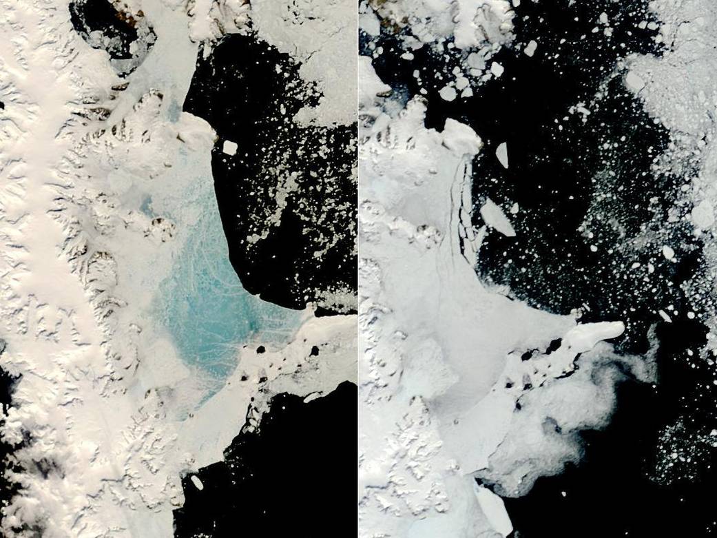 Changing Sea Ice Along Antarctic Peninsula