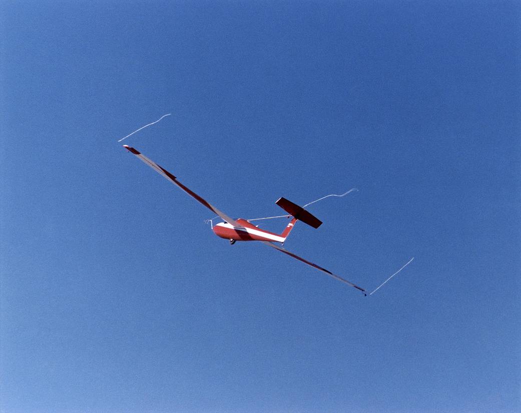 Schweizer 1-36 Sailplane