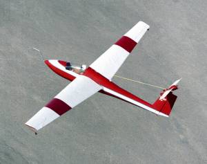 Schweizer 1-36 Sailplane