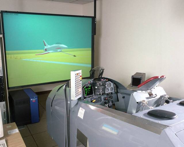 Flight Simulators - X-31