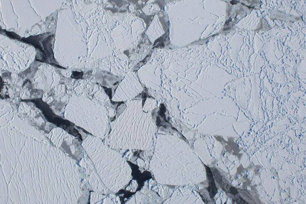 Antarctic Sea Ice