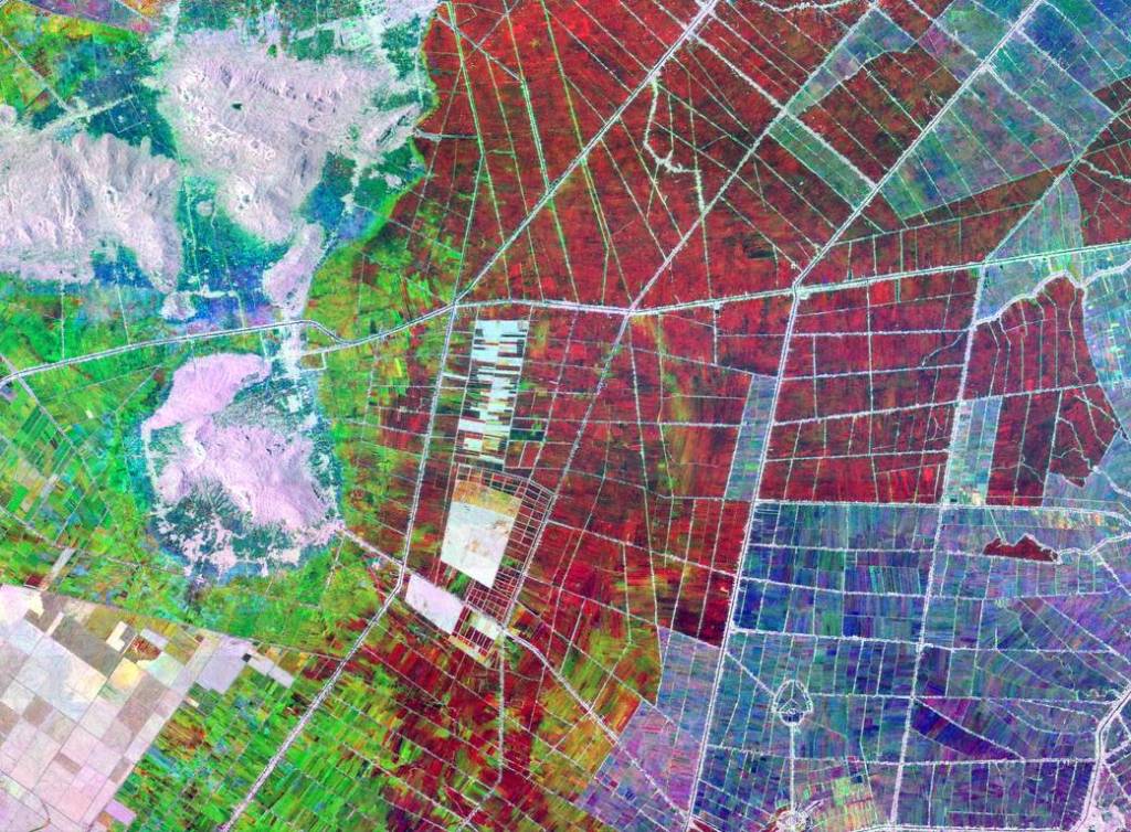 Crop Forecasts