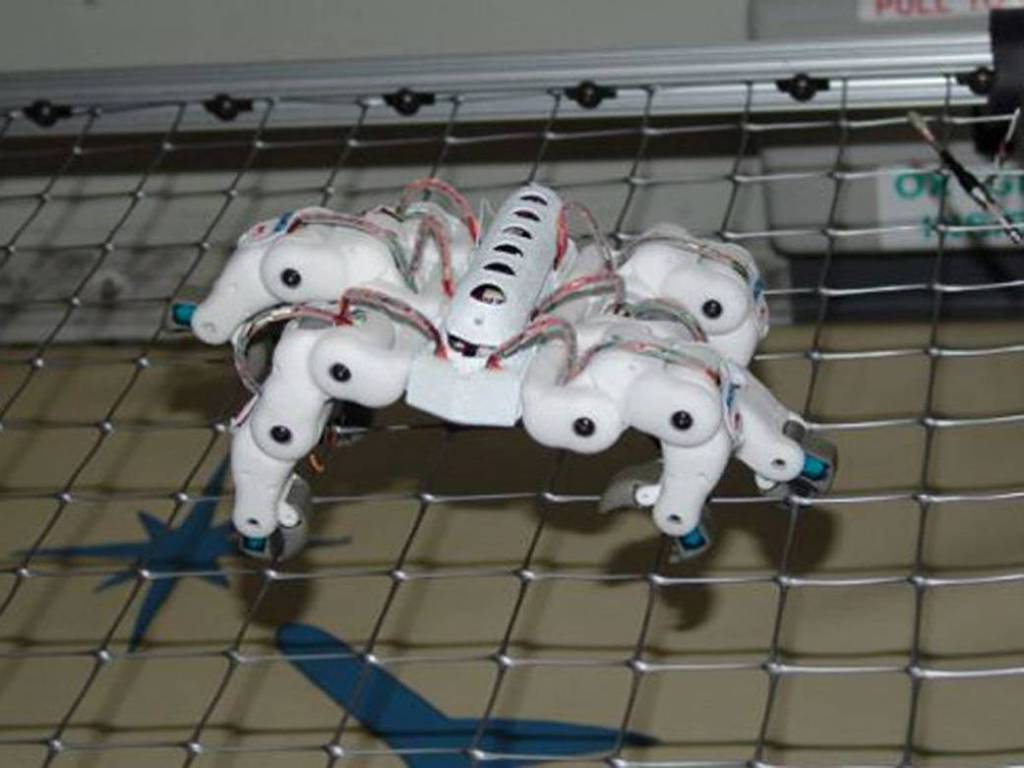 Spiderbot