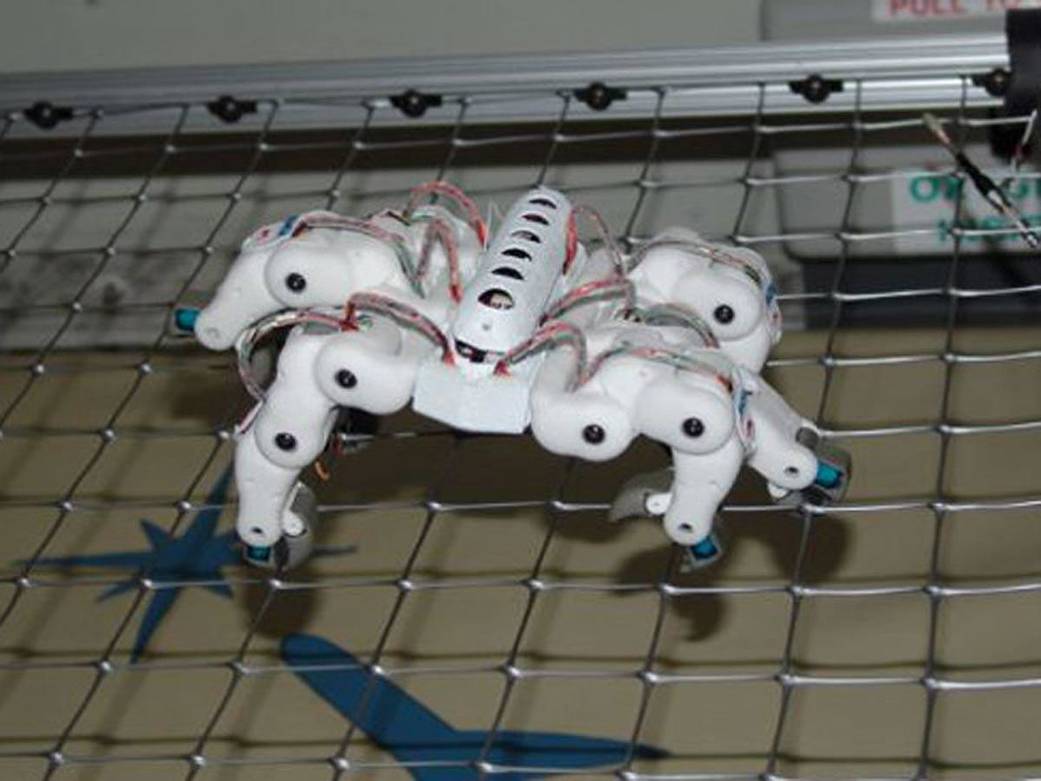 Spiderbot