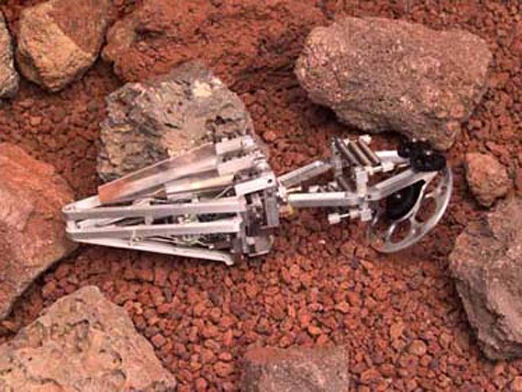 Frogbot