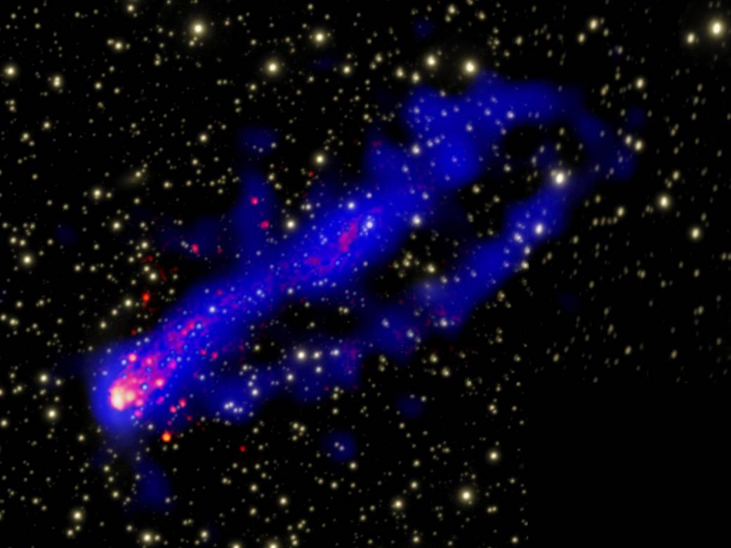 Galaxy Cluster Has Two 'Tails' to Tell