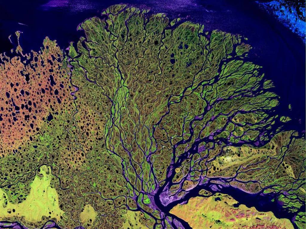 Siberia’s Lena Delta
