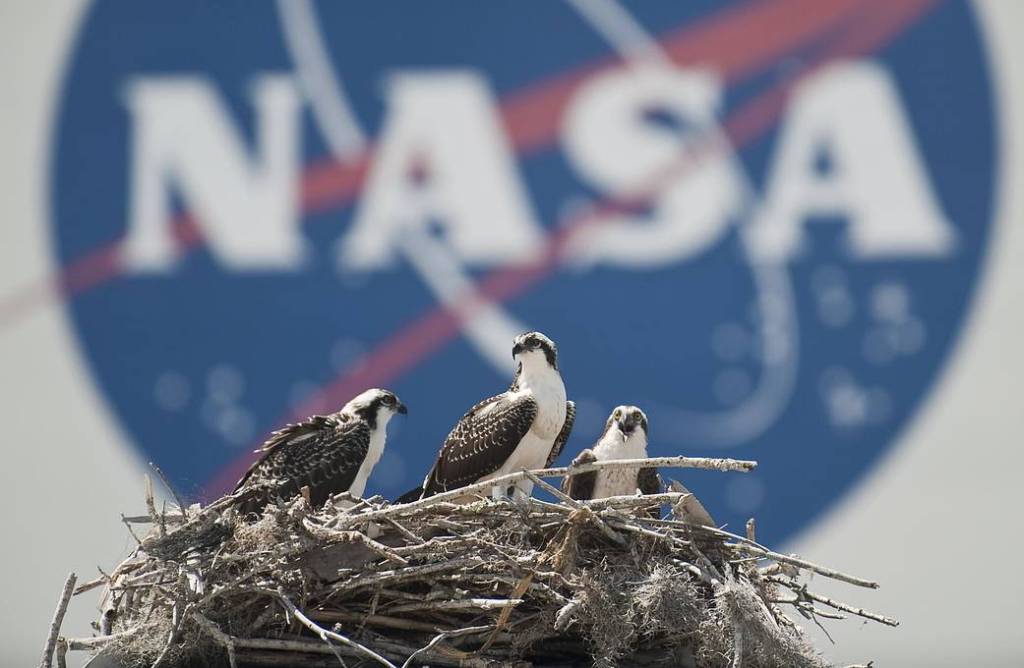 Ready for Liftoff
