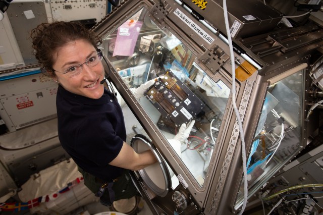 female astronaut working with an experiment inside a microgravity science glovebox