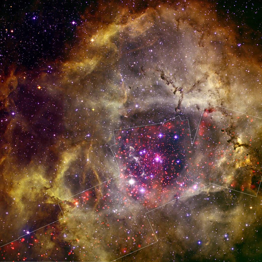Brilliant cloud of gas with rose at center extended into tones of off white and gold toward edge of image with stars throughout