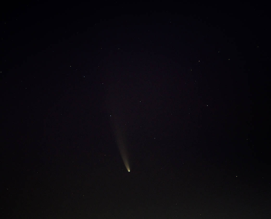 Comet NEOWISE in night sky over Washington DC