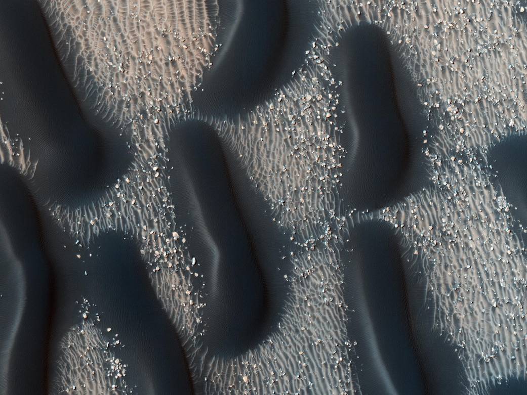 Dark Dune Fields of Proctor Crater, Mars