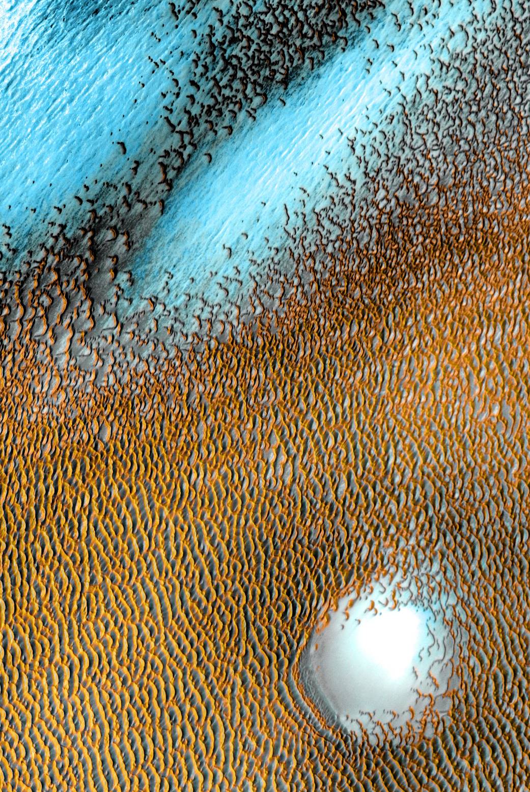 Mars' polar dunes