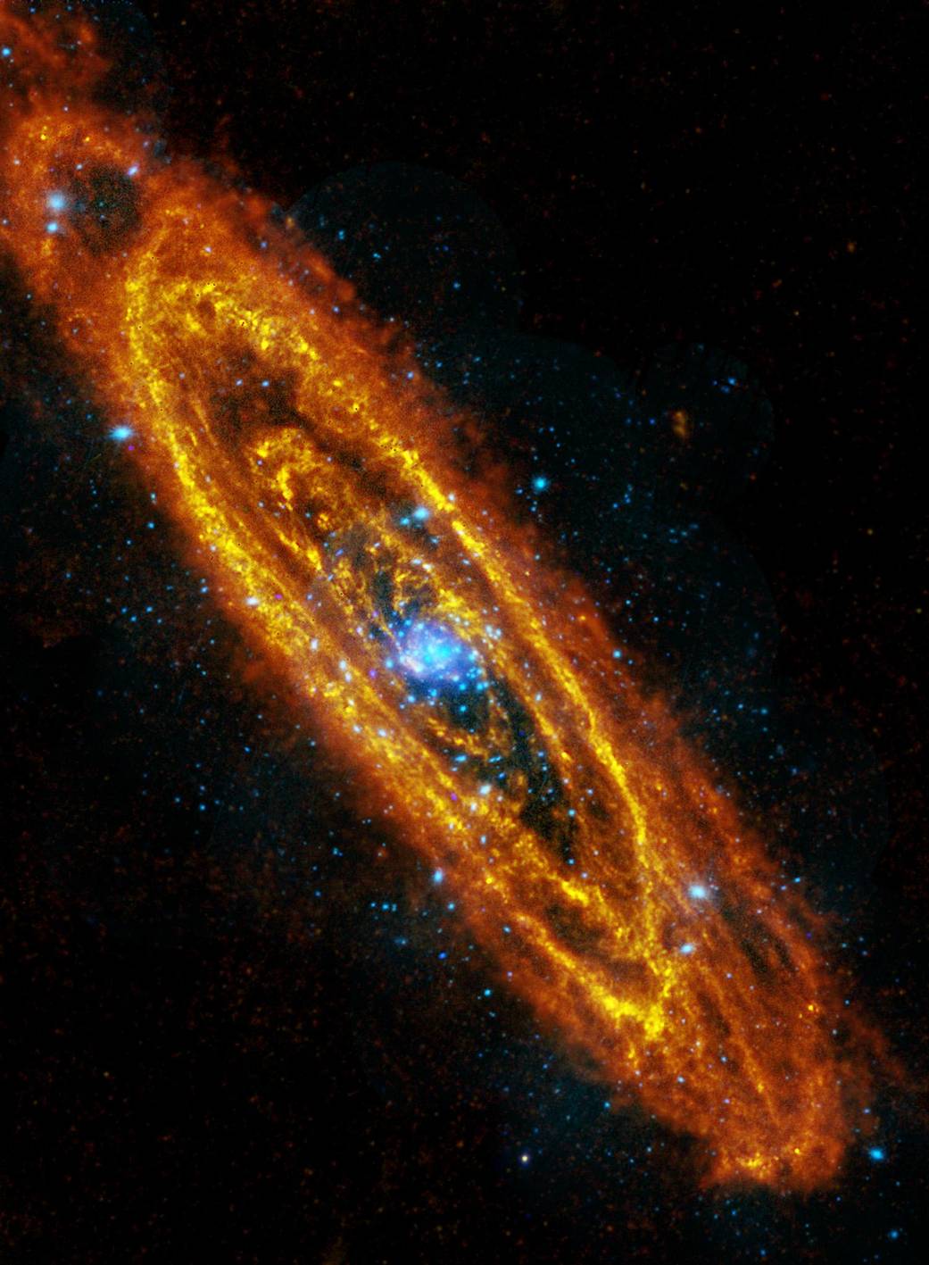 Andromeda's Once and Future Stars