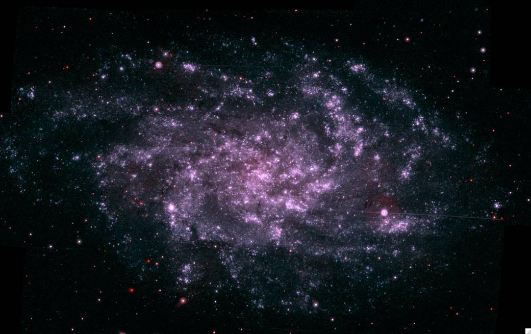 The Triangulum Galaxy