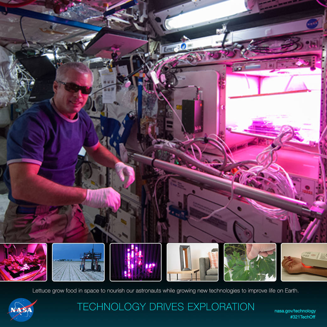 Veggies on ISS