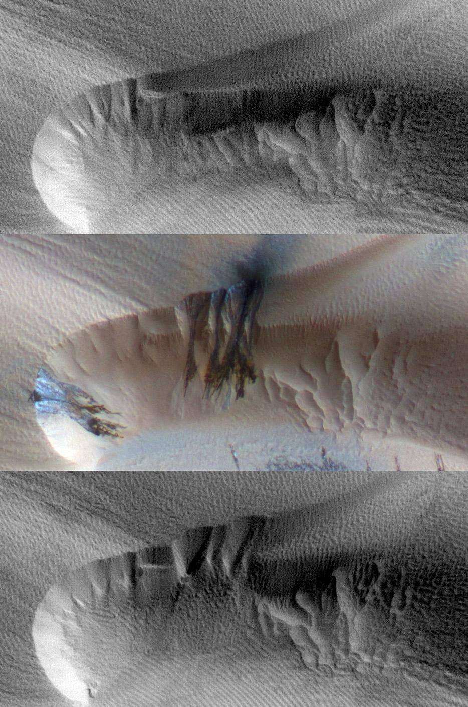 Seasonal Changes in Northern Mars Dune Field