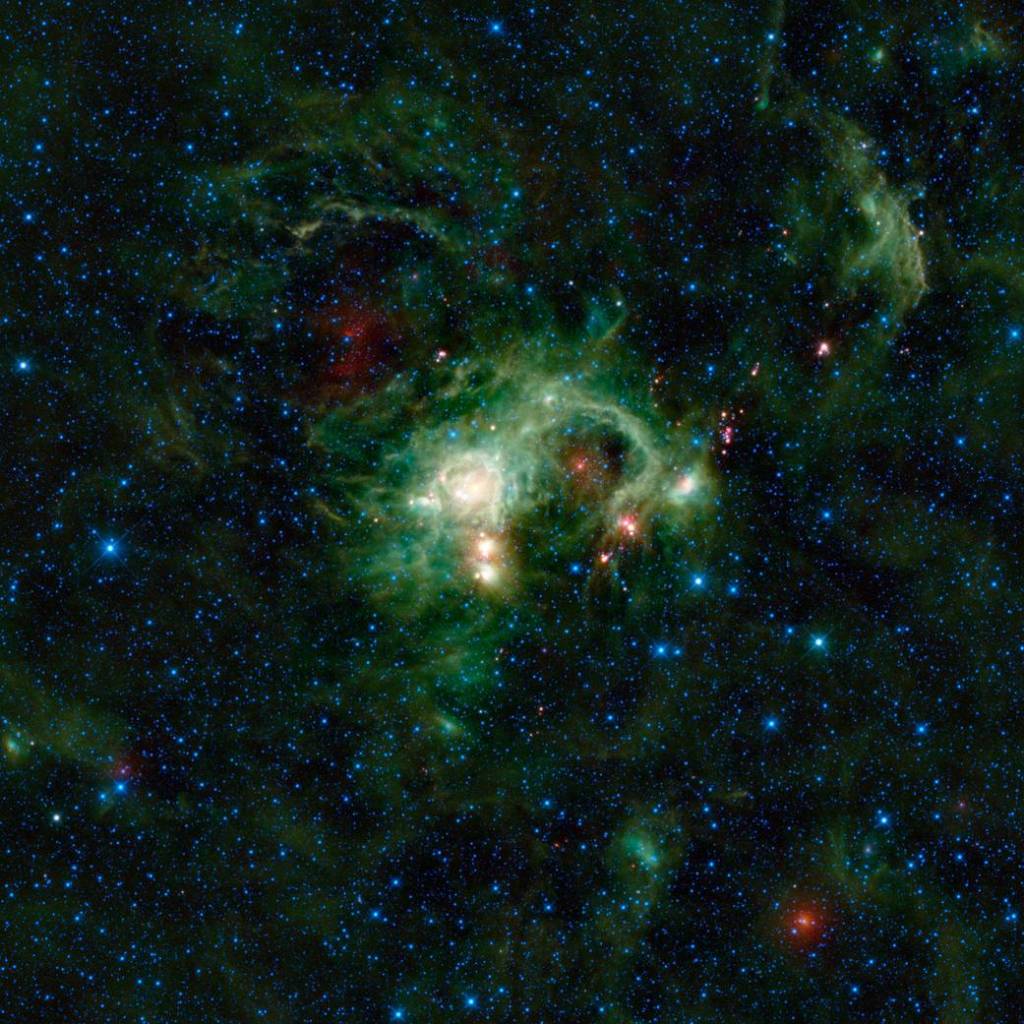 WISE Eyes Evolution of Massive Stars