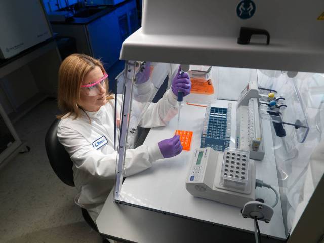 A medical technologist pipettes samples in the Microbiology Lab.