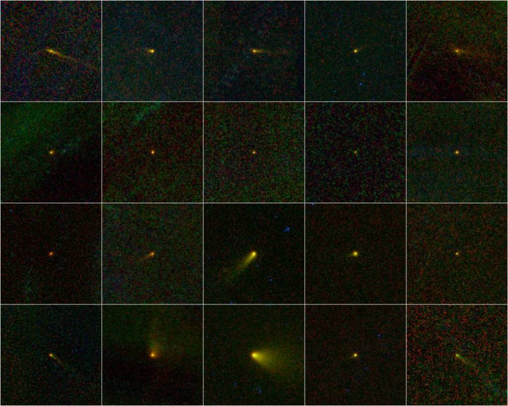 Comets WISE – A Family Portrait