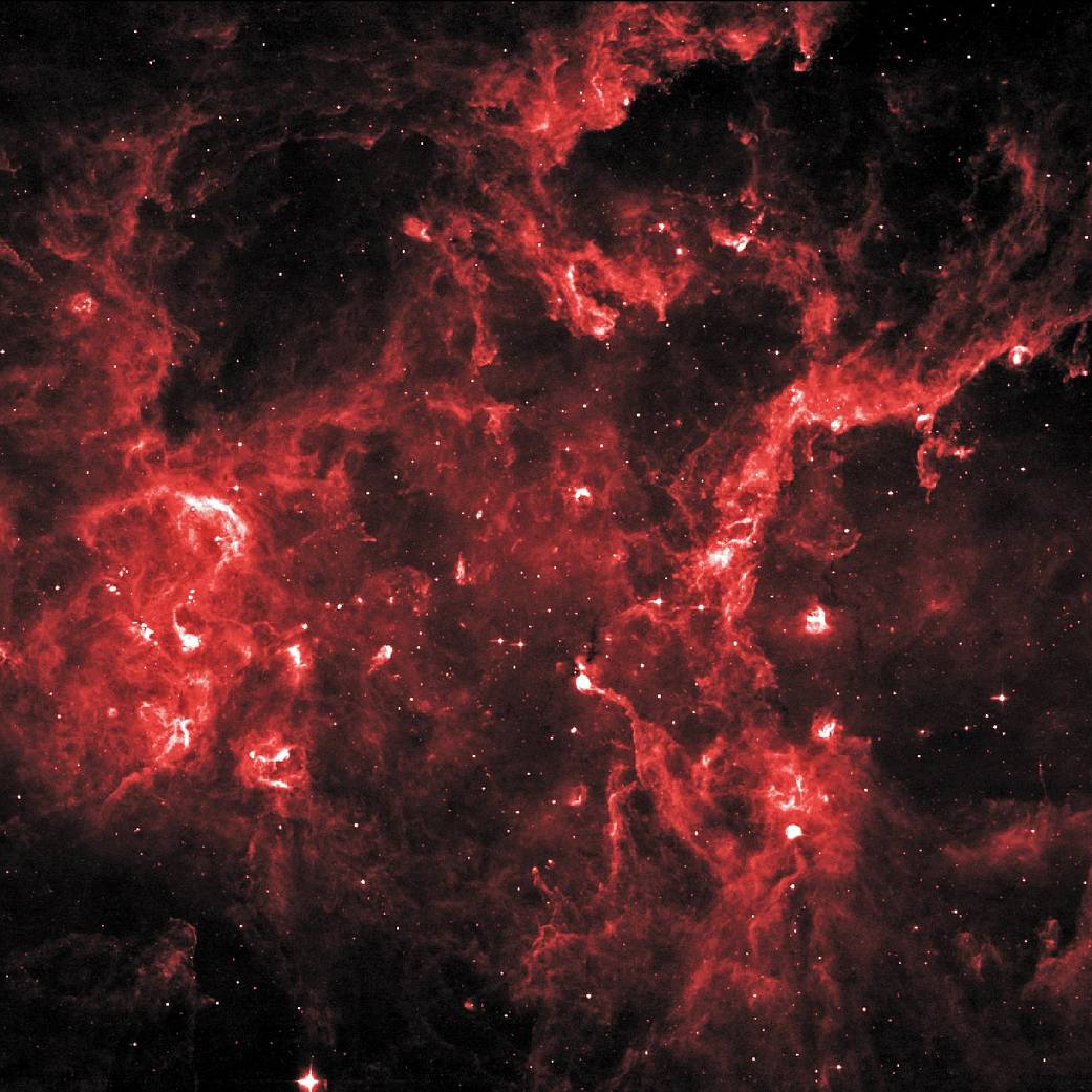 Young Stellar Grouping in Cygnus X