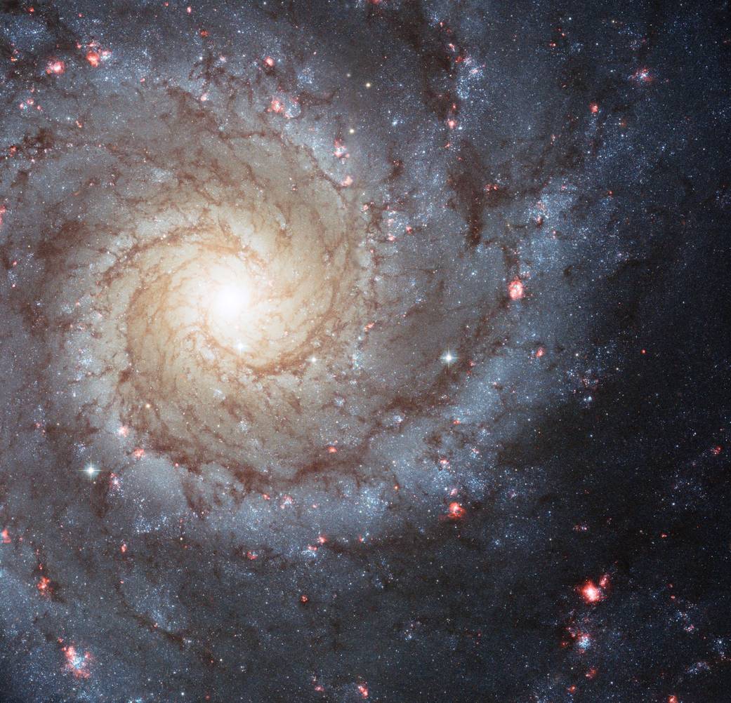 Spiral Galaxy