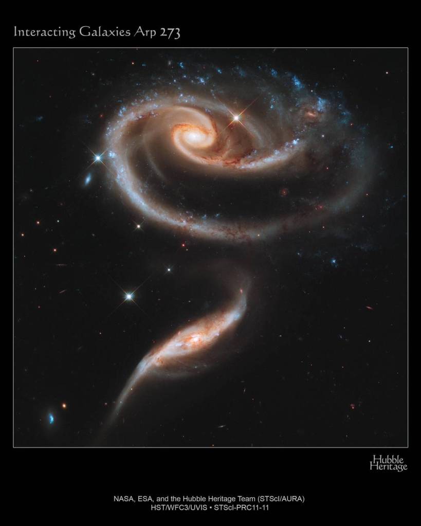 A ‘Rose’ Made of Galaxies